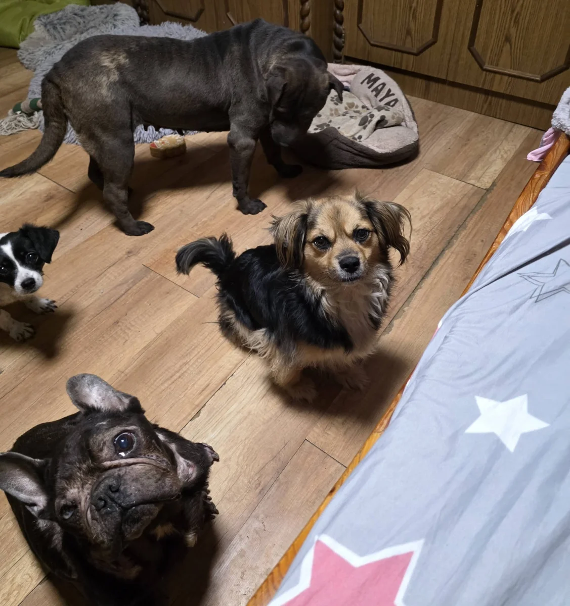 A jövő hetünk sem ígérkezik egyszerűnek…