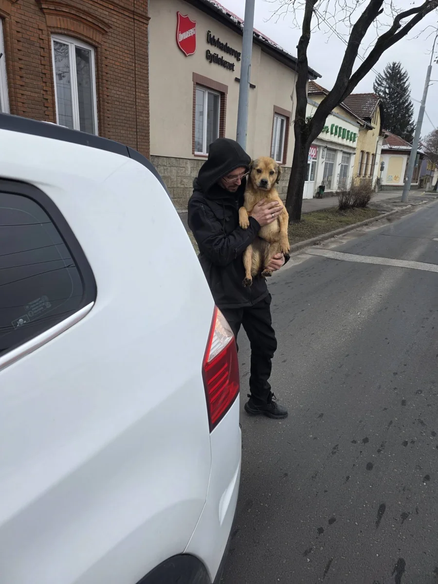 🚨 Ma egy hajszálon múlt egy élet… 🚨🐶