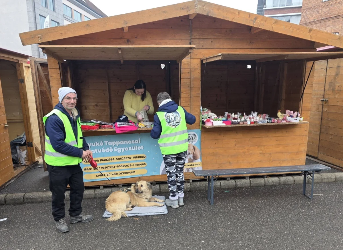 🫶 Kocsonyafesztivál – 2. nap 🫶