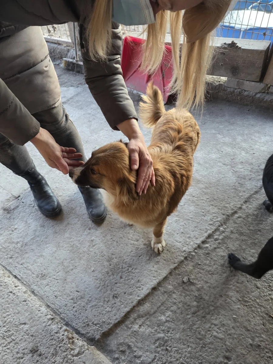 Azt hittük, tegnap már nem érhet minket nagyobb csoda…