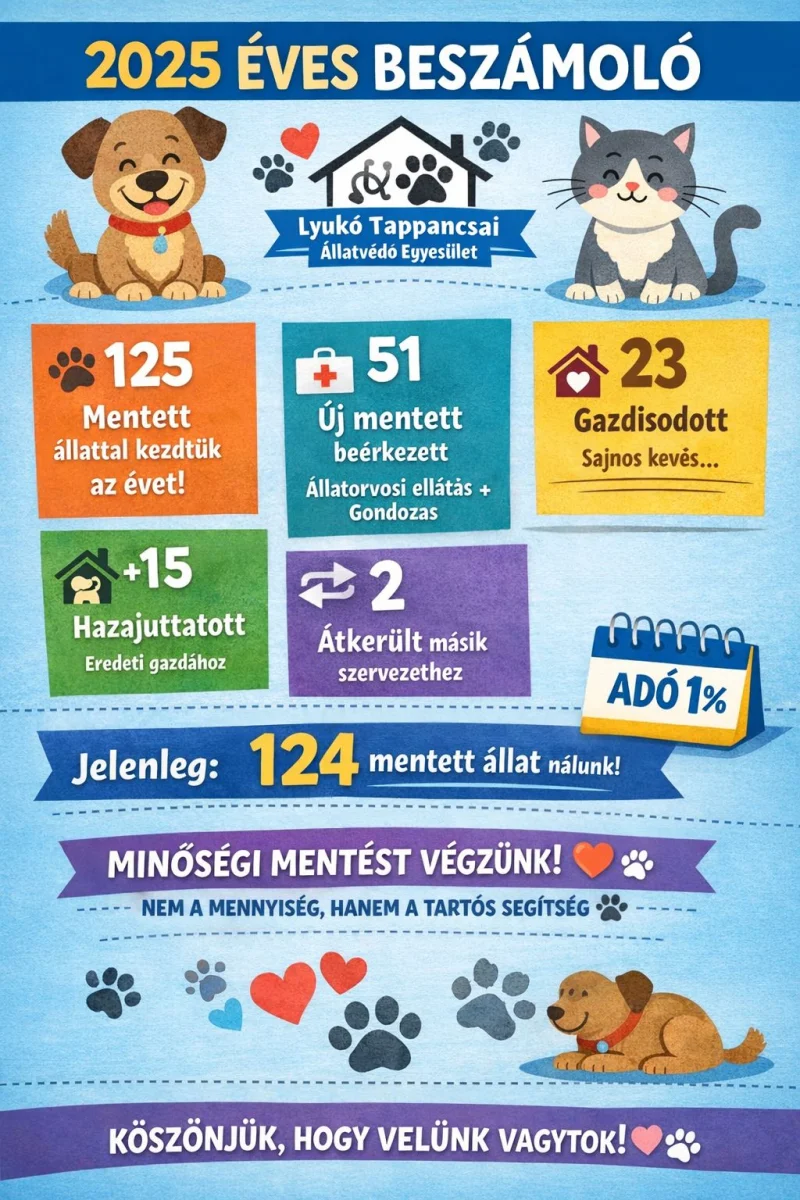 ❗️És akkor következzen a tavalyi év beszámolója❗️