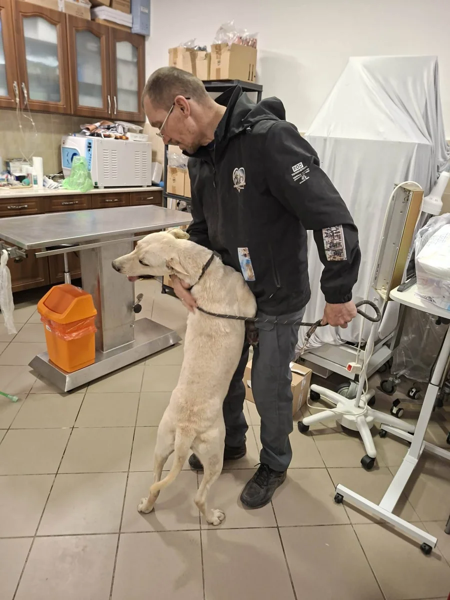 🐾🙏 ÚJABB LÉPÉS A BIZTONSÁGOS JÖVŐ FELÉ 🙏🐾