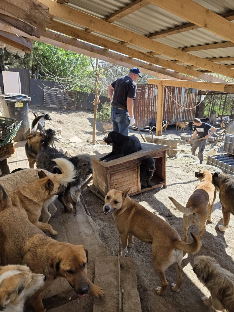 🐾❤️ EGY NAP, AMIKOR MINDEN ÖSSZEÁLLT ❤️🐾