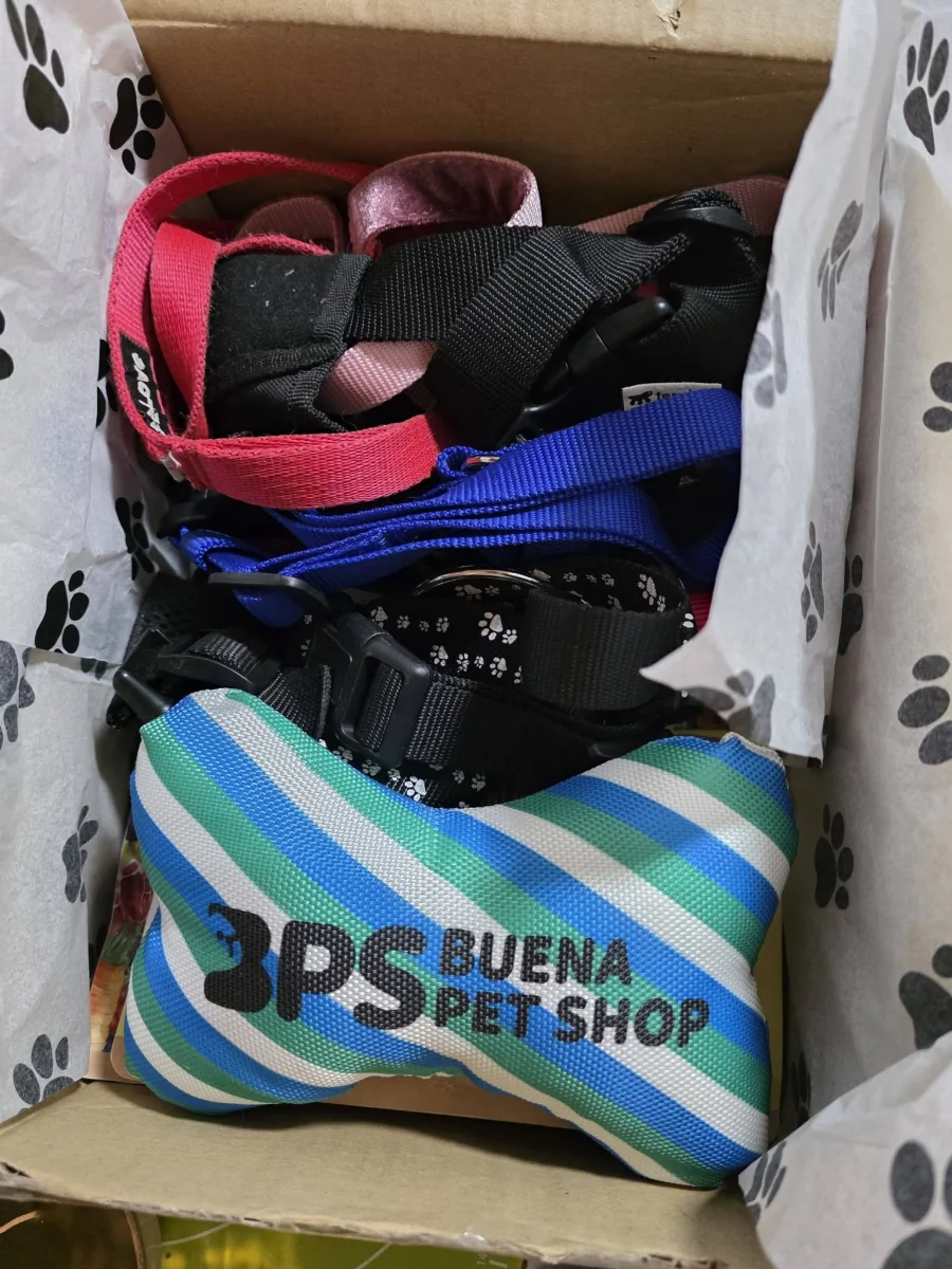 🐾🙏 KÖSZÖNJÜK, HOGY GONDOLTOK RÁNK 🙏🐾