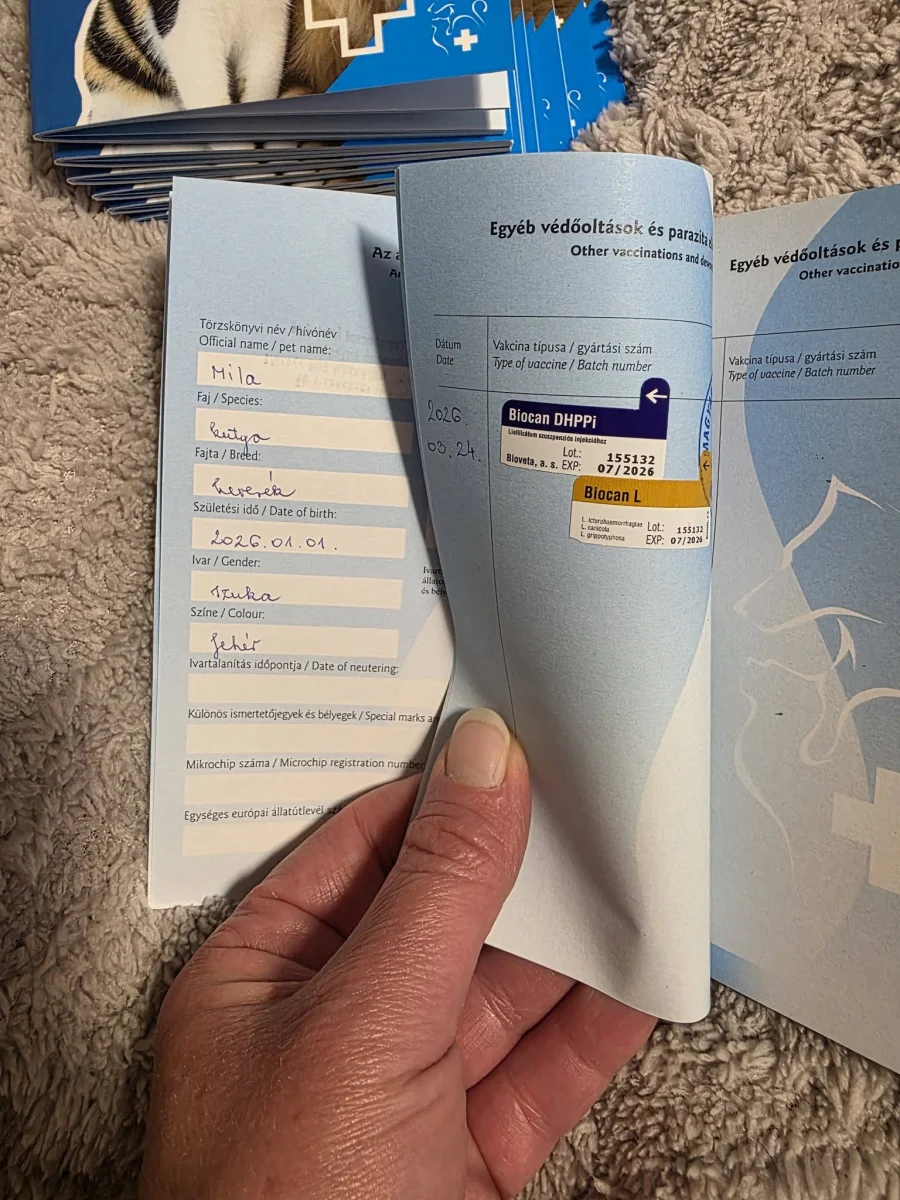 🐾💉 HOLNAP OLTÁSOS NAP – 11 PICURKA ÚJABB LÉPÉSE 💉🐾