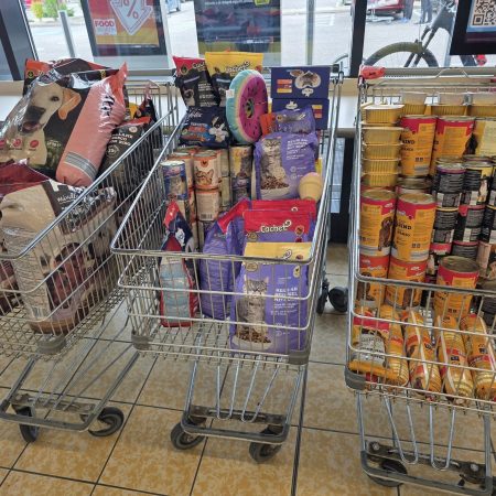 Aldi adománygyűjtés 4