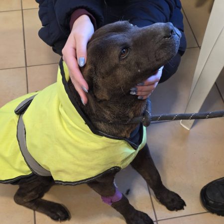 Baj van… nagyon nagy baj.