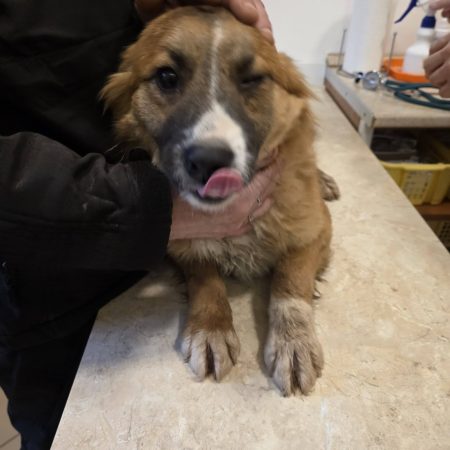 Egy különleges nap története 4