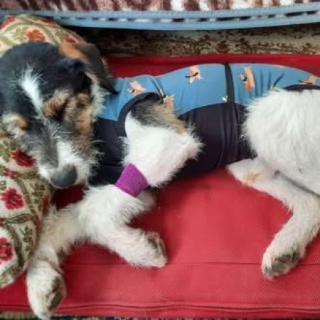 Hálásan köszönjük