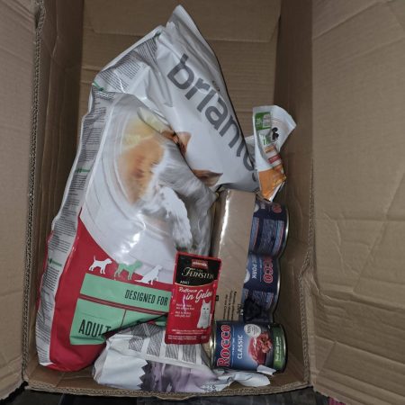 Hatalmas meglepetés várt ránk tegnap 1