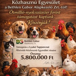 Hatalmas örömhír!