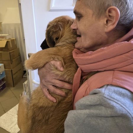 Ivartalanítás Sofi Szlomy