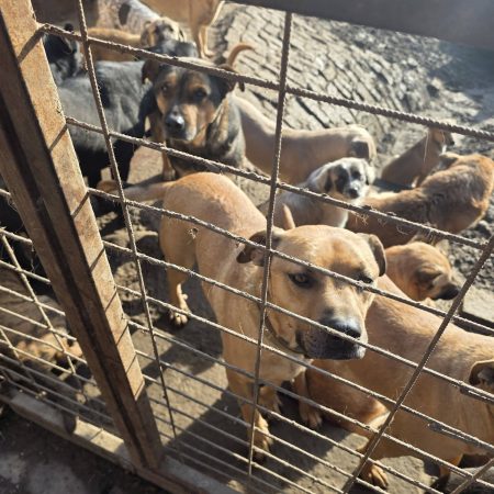 Jön a változások szele 1