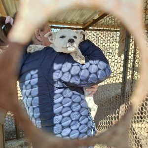 KERESZTELŐT TARTUNK 1