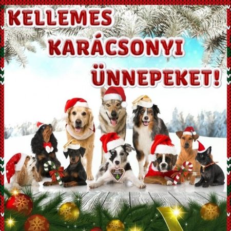 Karácsony a 130 tappancs szemével 1