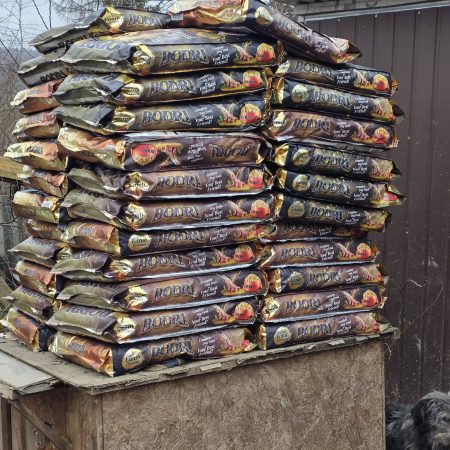 Karácsonyi köszönet 1