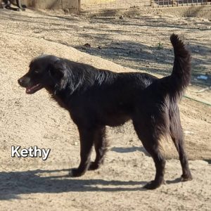 Kethy