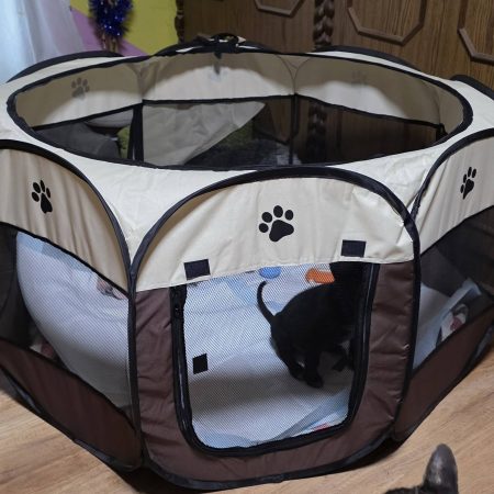 Lángos Tanya Miskolc 1