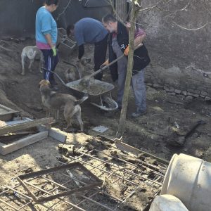 Ma ismét hatalmas segítséget kaptunk 4