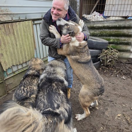 Ma különleges vendégeink voltak… 2