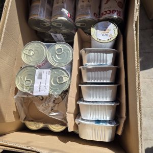 Múlt hét pénteken egy teljesen váratlan csomagot kaptunk