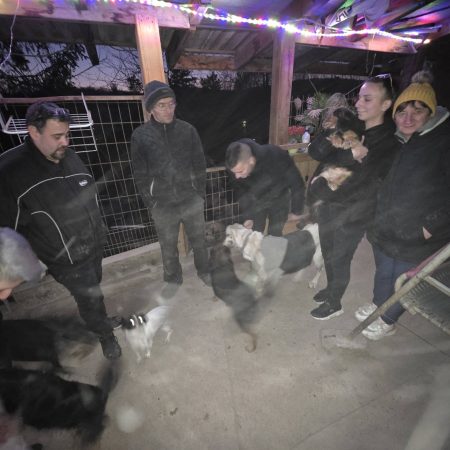 Tegnap kora este vendégeink voltak 3