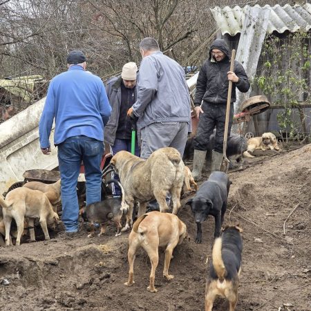 Újra összeállt a nagy csapat 7