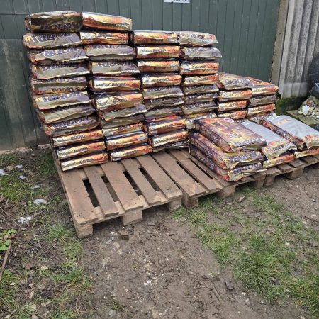 betárazni a télre a kutyusainknak 4