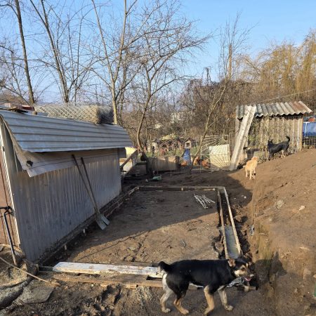 mi nem tudunk megállni 8