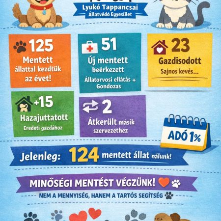 tavalyi év beszámolója