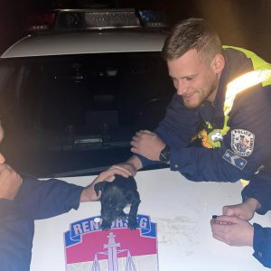 újabb ártatlan élet